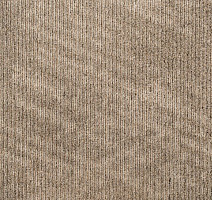 Ковровая плитка Art Exposure Коллекция Academic View Academic View 853 фото 1 | FLOORDEALER